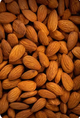 Close-up of premium jumbo California almonds sold at SG Dates & Nuts, Belagavi