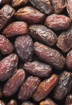 Plump soft Medjool dates stocked at SG Dates & Nuts in Belagavi