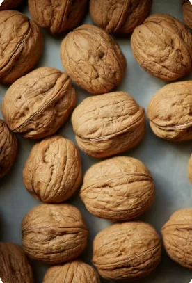 In-shell Kashmiri walnuts arranged in neat rows